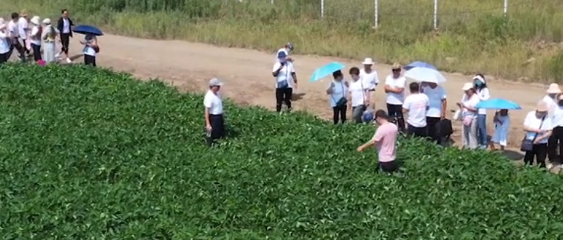 合成大豆基地粮库鸡场