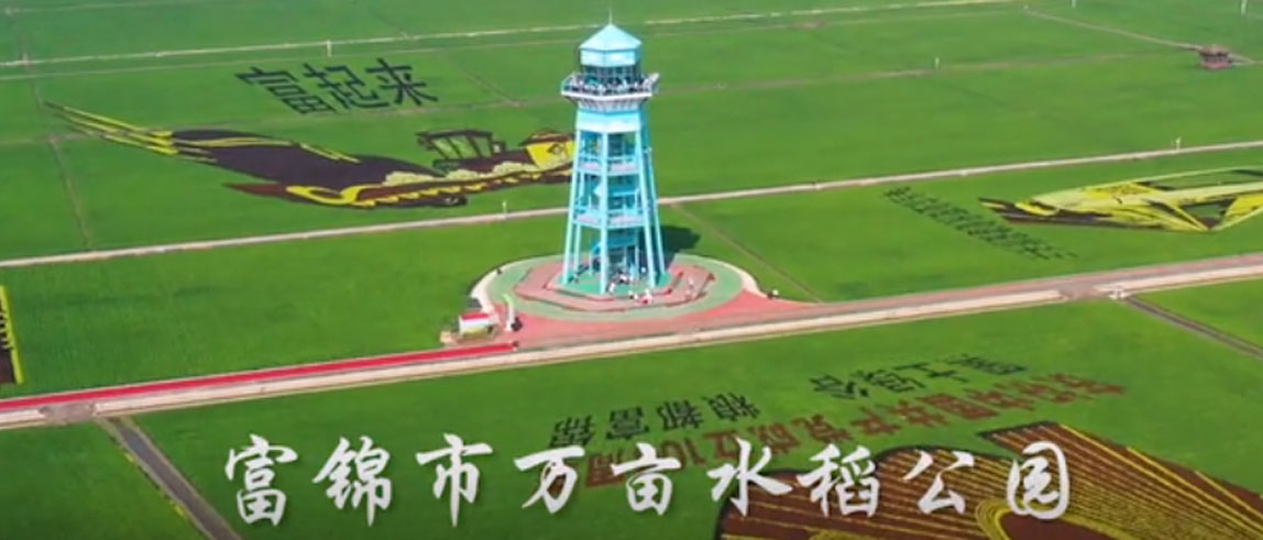 合成浏览水稻公园_