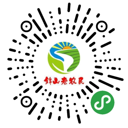 小程序