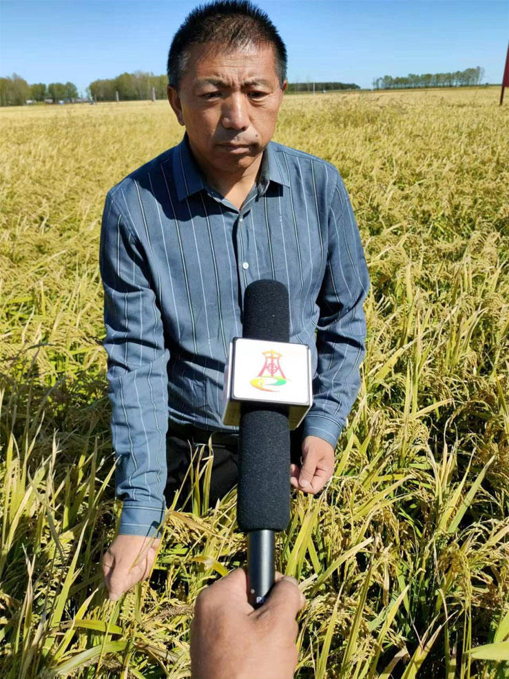 大米深加工
