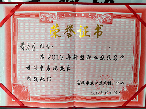 荣誉证书